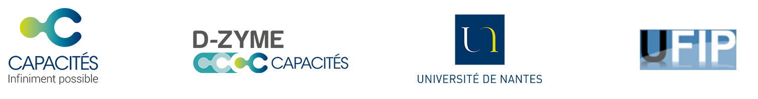 Web bandeau logo d-zyme